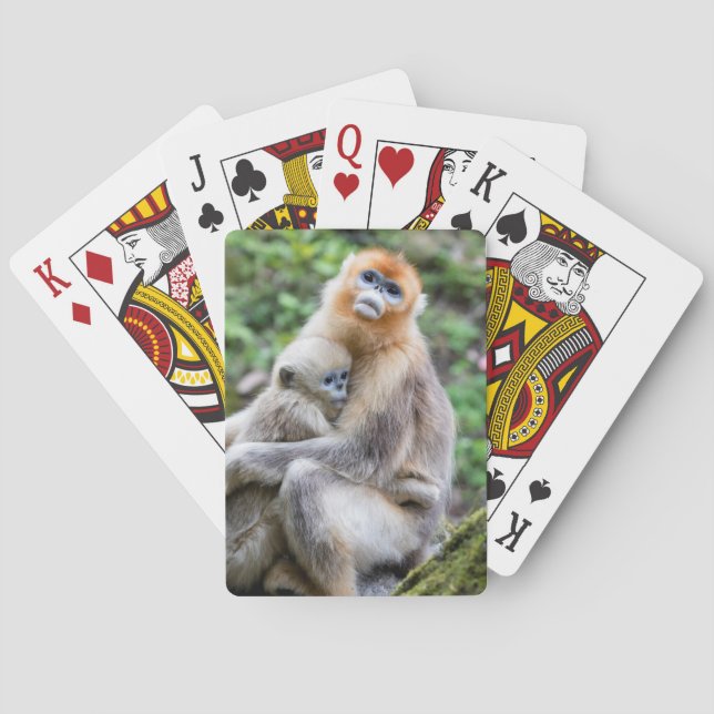 Baralho Macaco Dourado de Nariz Arrebitado com Bebê (Verso)