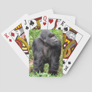 Baralho Macaco Feliz