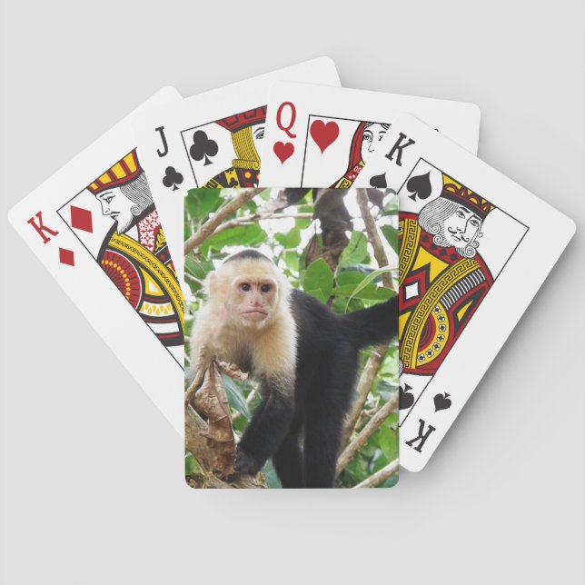 Baralho Macaco na Costa Rica (Verso)