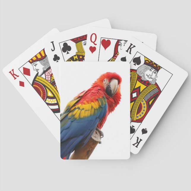 Baralho Macaw Chic Classy Mod tropical colorido (Verso)