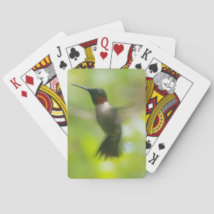 Baralho Macho Ruby Throat Hummingbird