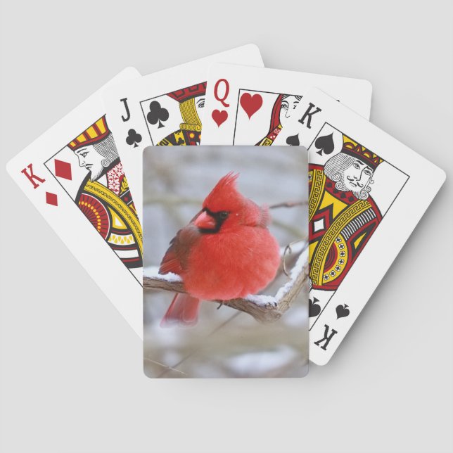 Baralho Make_Cardinal_Cards (Verso)
