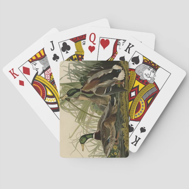 Baralho Mallard Duck do Pássaro da América de Audubon (Verso)