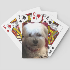 Baralho Maltês sobre cartões para jogar