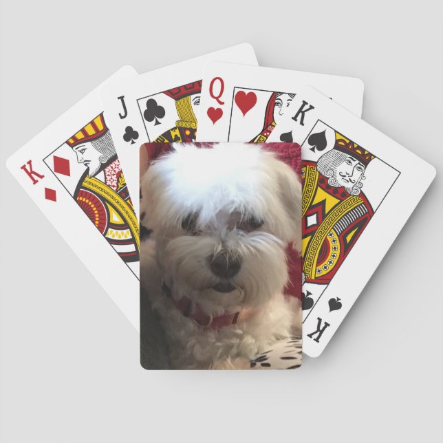 Baralho Maltês sobre cartões para jogar (Verso)