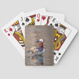 Baralho Mandarin Duck