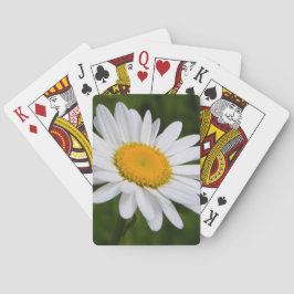 Baralho Margarida na flor