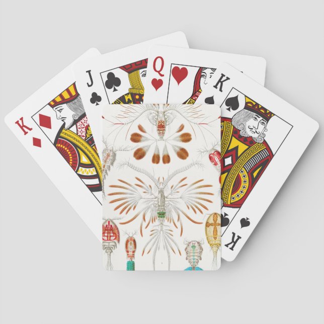 Baralho Marine Life Crustaceans, Copepoda por Ernst Haecke (Verso)