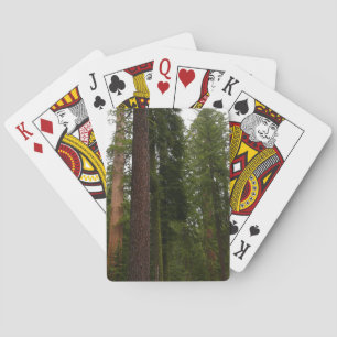 Baralho Mariposa Grove no Parque Nacional Yosemite