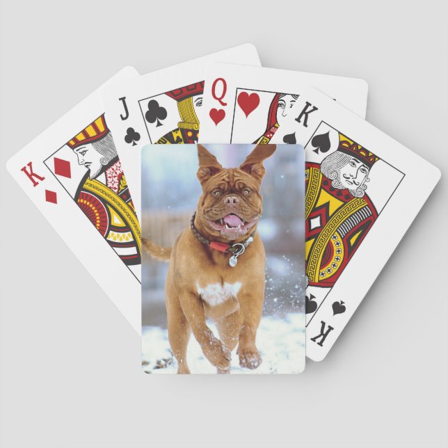 Baralho Mastiff Plus (Verso)