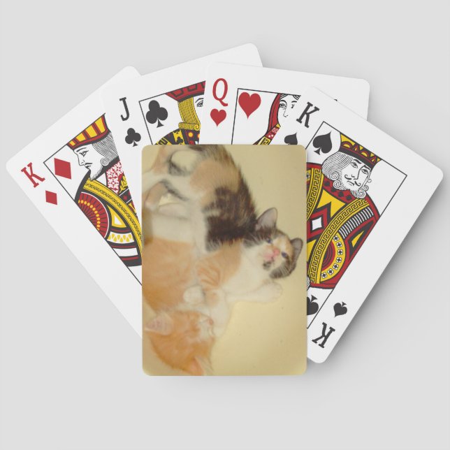 Baralho Medula Cats 5 Placas (Verso)