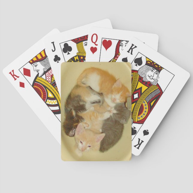 Baralho Medula De Cães 4 (Verso)