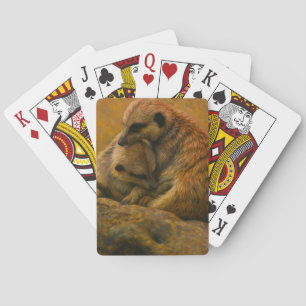 Baralho Meerkat Cuddle - Pintura De Vida Selvagem Tonelada