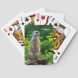 Baralho Meerkat Play Cards