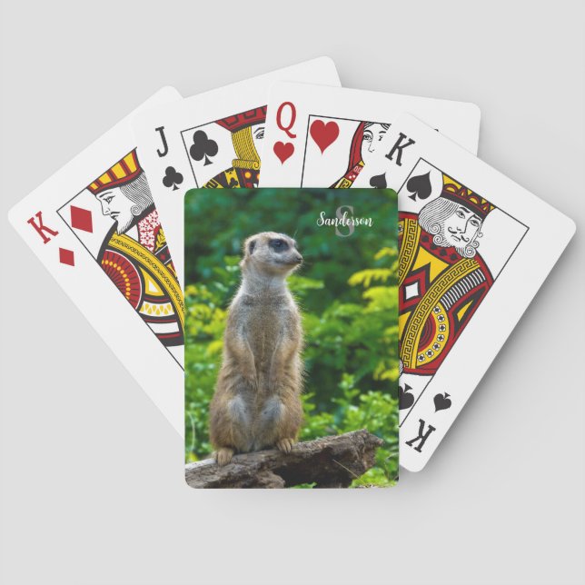 Baralho Meerkat Play Cards (Verso)