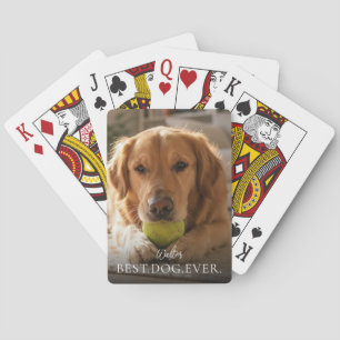 Baralho Melhor Cachorro do Mundo Nome e Foto do Animal de