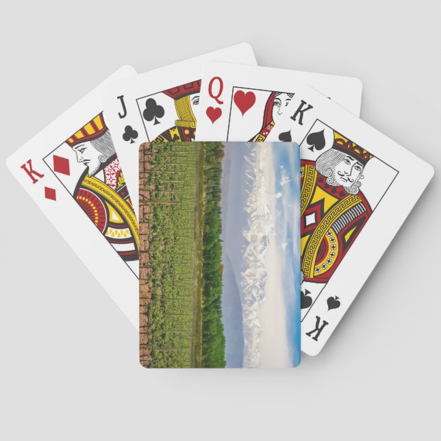 Baralho Mendoza, Argentina (Verso)