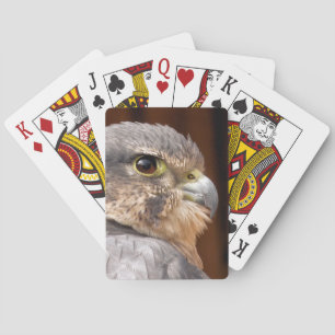 BARALHO MERLIN FALCON BIRD OF PREY