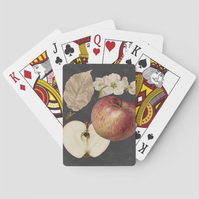 Baralho Midnight Harvest II (Verso)