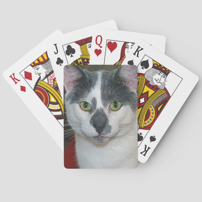 Baralho Mister Pants (Verso)