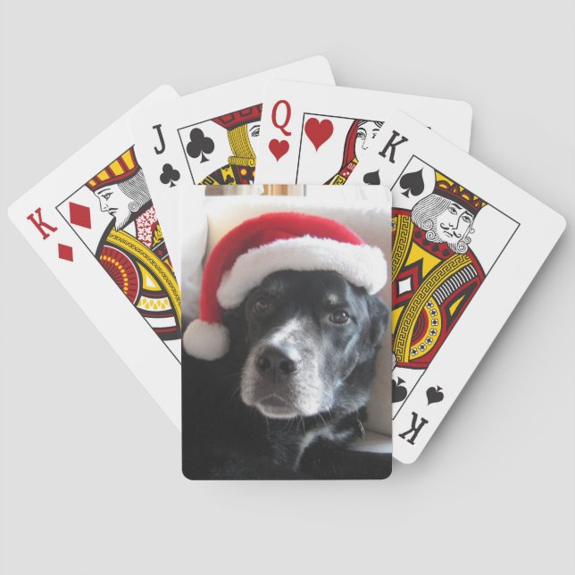 Baralho Mistura de Cão-Labrador Rottweiler do papai noel (Verso)