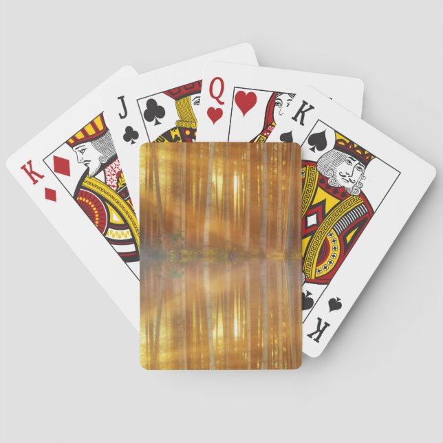 Baralho Misty Forest Scene (Verso)