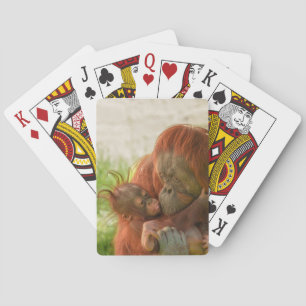 Baralho Momentos de Tensão Mãe de Orangutan