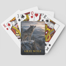Montanha Gray Wolf Wilderness ANIMAIS
