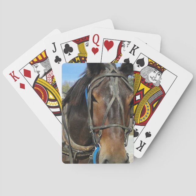 Baralho Na Biblioteca, Amish Horse e Buggy (Verso)