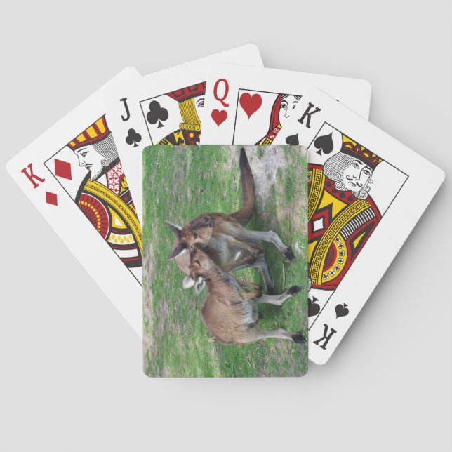 Baralho Não Agora, Skippy (Verso)