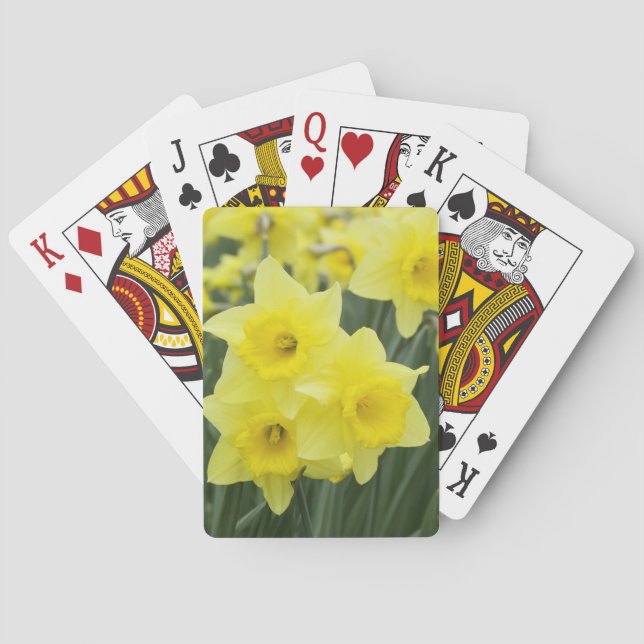 Baralho Narcisos RF) (Verso)