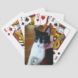 Baralho Nero o gato