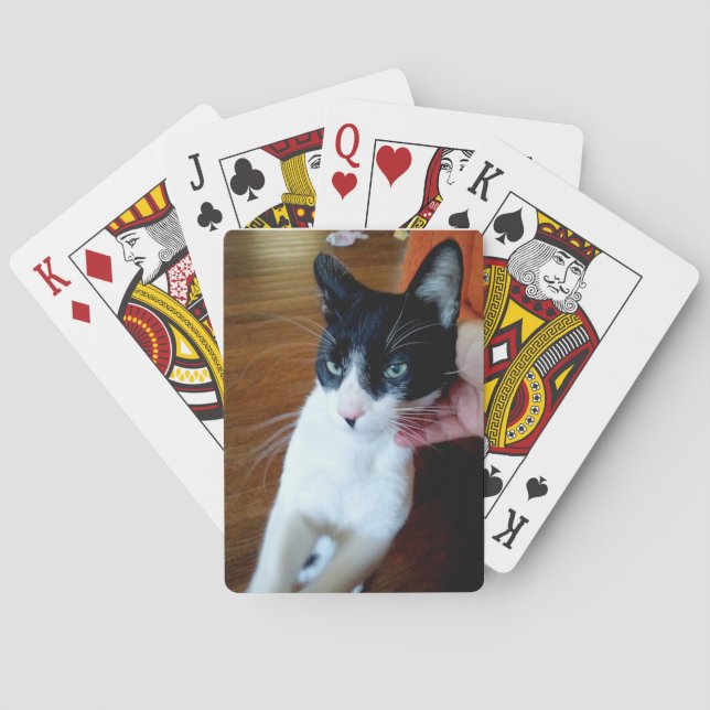 Baralho Nero the cat - Bicycle Cards (Verso)