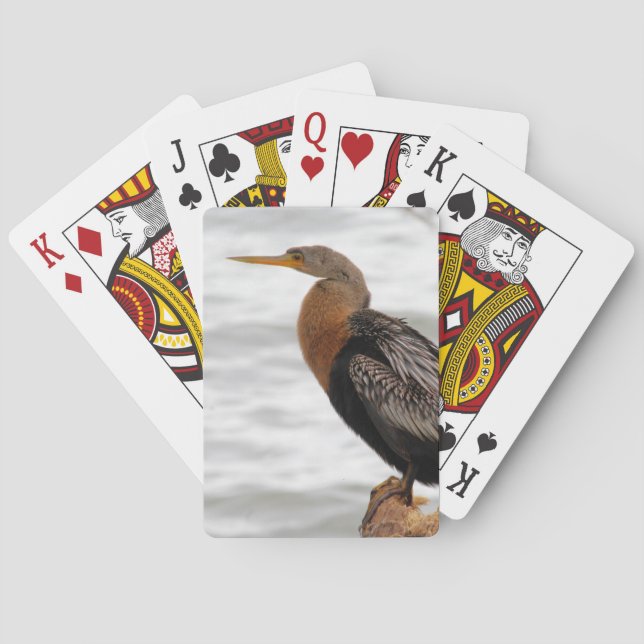 Baralho No Lookout (Verso)