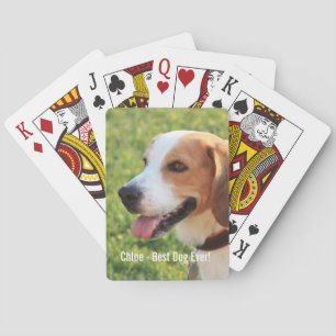 Baralho Nome personalizado da foto do cão do lebreiro e d