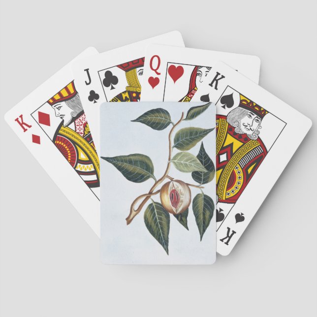 Baralho Noz-moscada, placa 7, 'da coleção Precieuse e Enl (Verso)