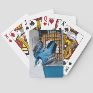 Baralho Nuthatch Branca em Neve - Foto original