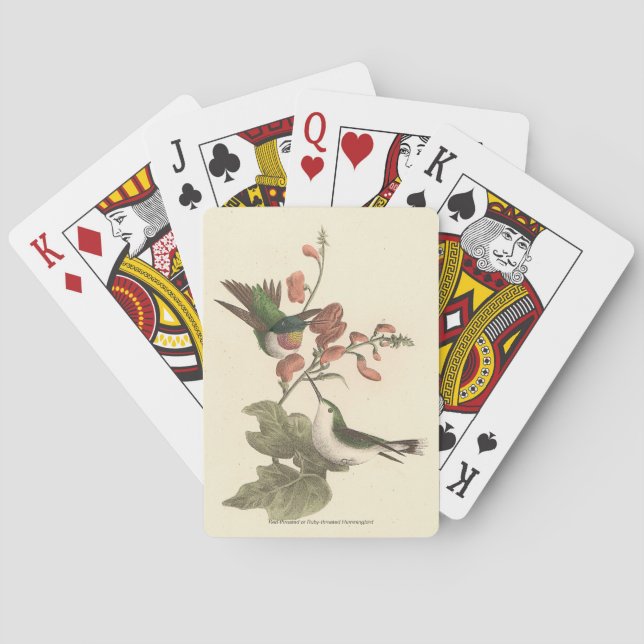 Baralho O beija-flor de garganta vermelha ou de garganta s (Verso)