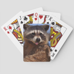 Baralho O guaxinim engraçado que cola o é língua para fora