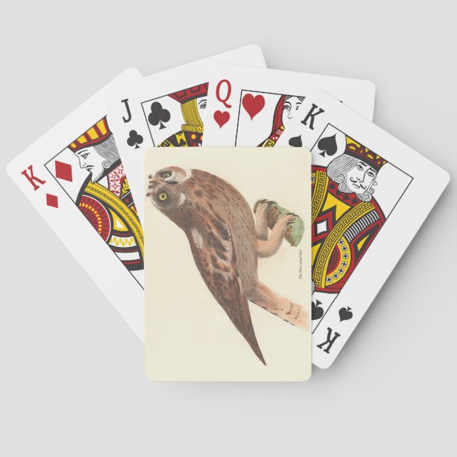 Baralho O Pássaro de Nova Iorque (Otus palustris) (Verso)