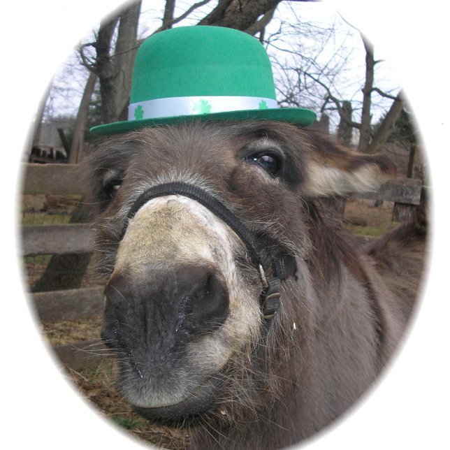 Baralho "O que você está olhando?" (Criador carregado)