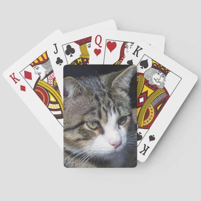 Baralho Observando o pássaro (Verso)