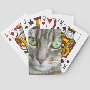 Baralho Olhos Esmeralda – Retrato de um Gato de Olhos Verd