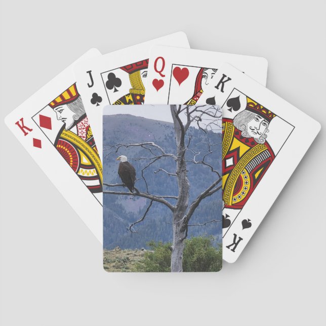 Baralho On Watch Playing Cards (Verso)