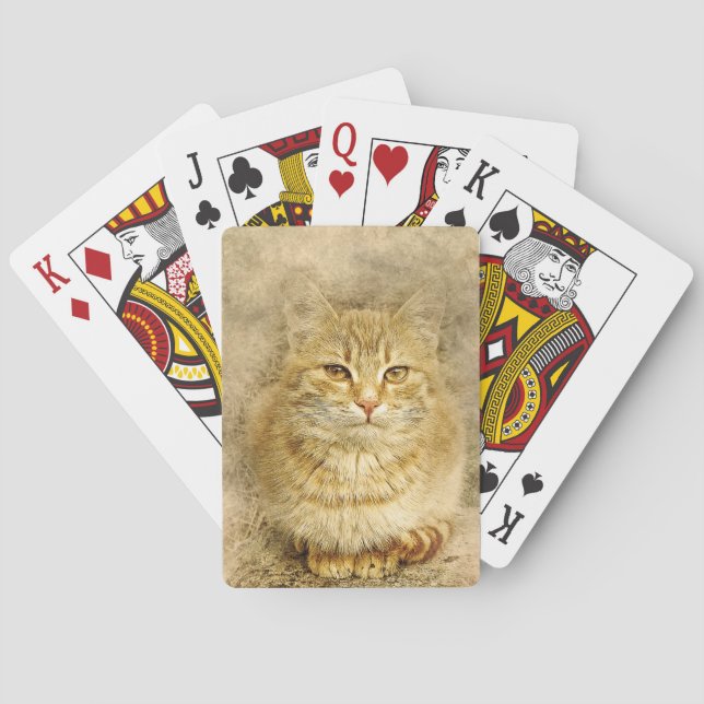 Baralho Orange Tabby Cat (Verso)