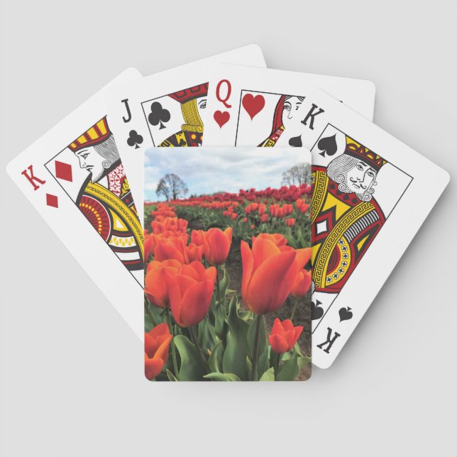 Baralho Orange Tulips in a Field, Oregon (Verso)