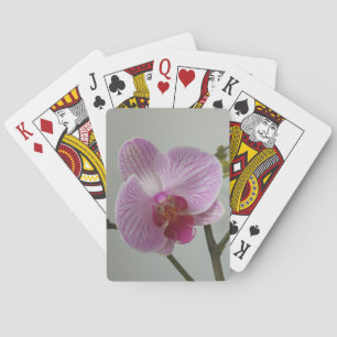 Baralho Orquídea