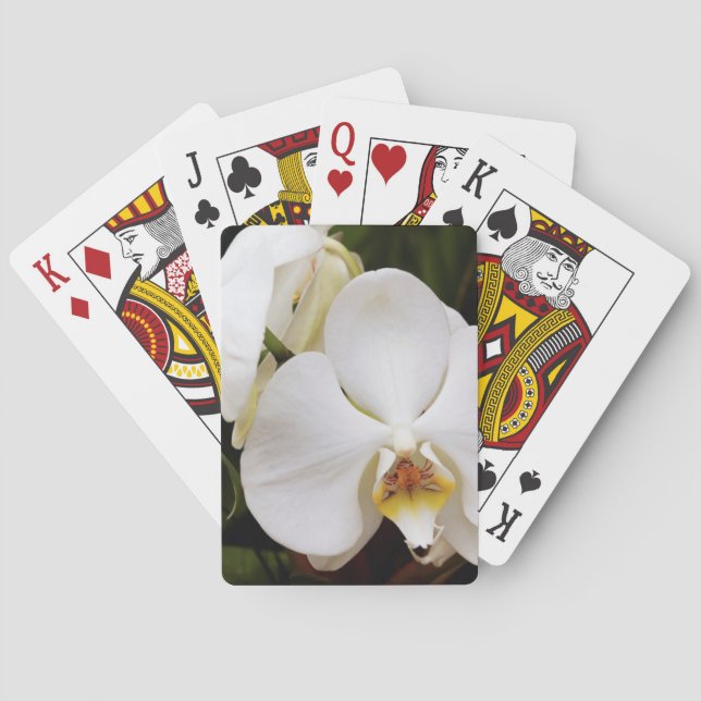 Baralho Orquídea Branca (Afrodite) (Verso)