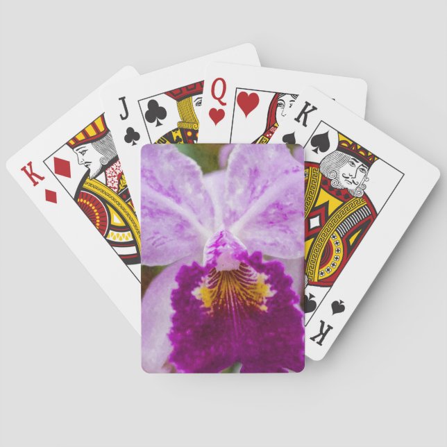 Baralho Orquídea de Paixão Roxo (Verso)