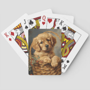 Baralho Ouro Retriever Puppy em um soquete